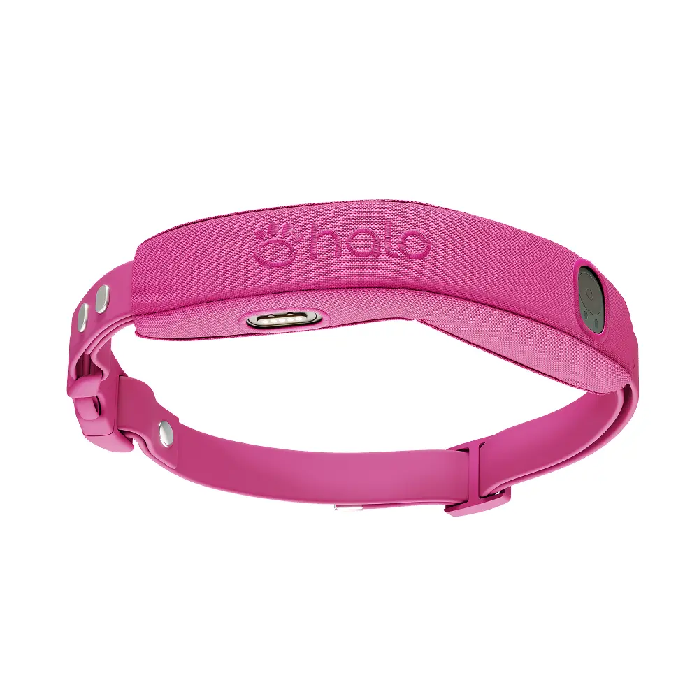 Halo Collar 5 GPS Dog Fence