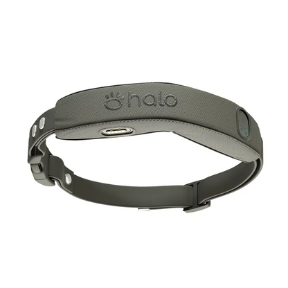 Halo Collar 5 GPS Dog Fence
