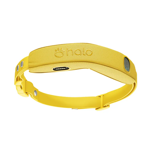 Halo Collar 5 GPS Dog Fence